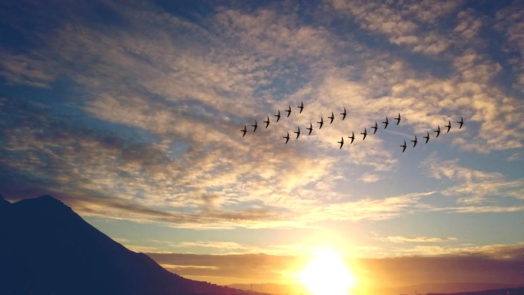 Cloud computing and migration services