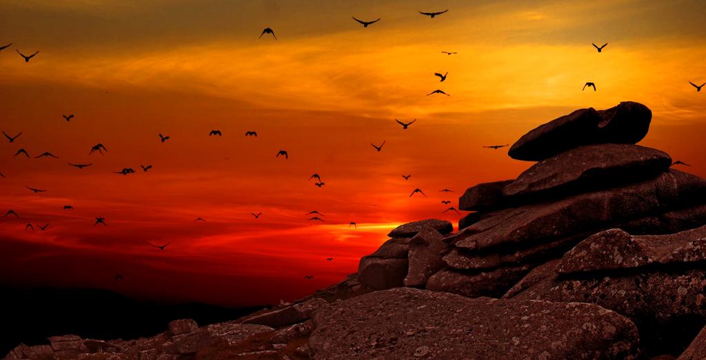 Cloud migration and digital transformation services